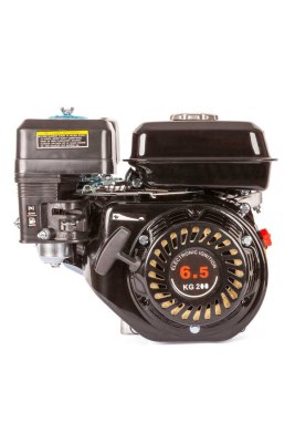 Balatlı 6.5 Hp Motor YP-TM-GR8001 - 2