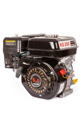 Balatlı 6.5 Hp Motor YP-TM-GR8001 - 1